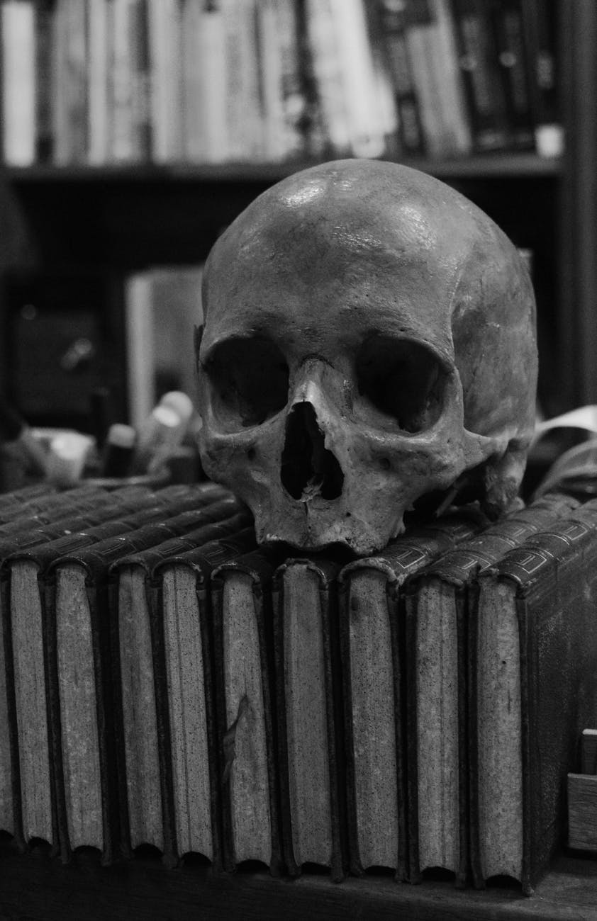 Downingtown, Your Library Needs&nbsp;YOU!